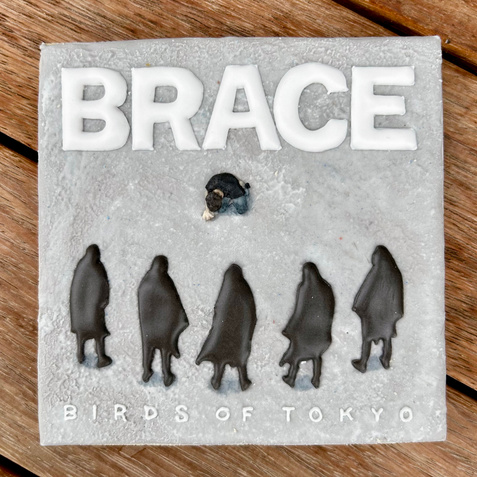 A cookie decorated with royal icing in the design of Brace by Birds of Tokyo album cover.
